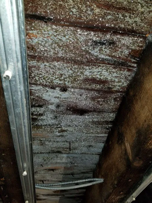 Freeport Mold & Water Damage Restoration Picture 5