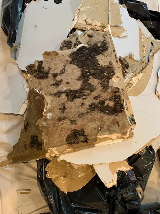 Freeport Mold & Water Damage Restoration Picture 4