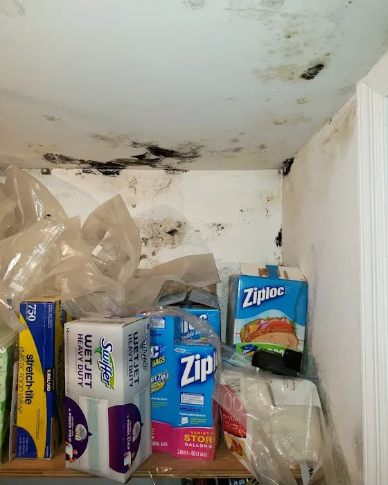 Freeport Mold & Water Damage Restoration Picture 10