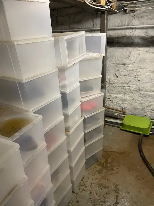 NY Flooded In Far Rockaway- Water Damage Picture 4