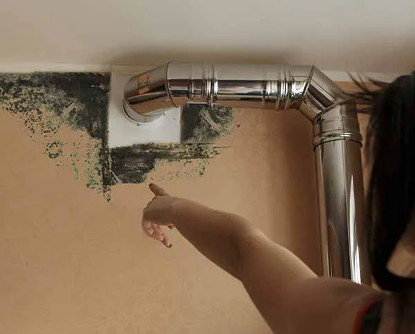 Water Damage 5 Towns - S.O.S. Picture 8