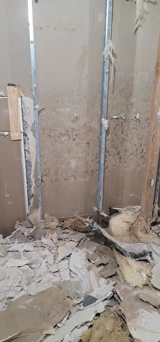 Baldwin Best Mold Removal Picture 3