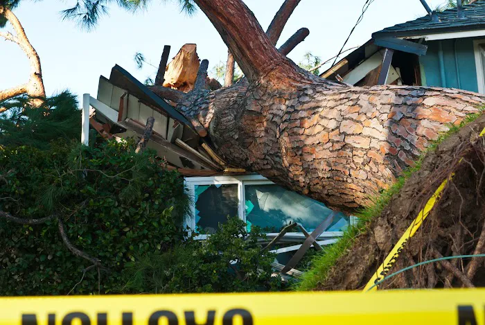 Milro Services, Inc. Picture 8