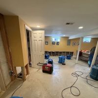 CertaClean Restoration ico