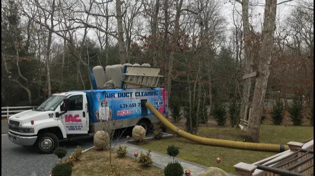 Moldbusters Picture 3