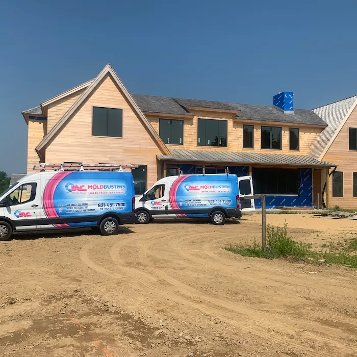 Moldbusters Picture 8