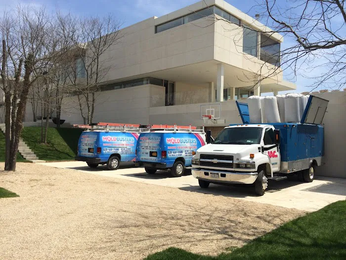 Moldbusters Picture 10