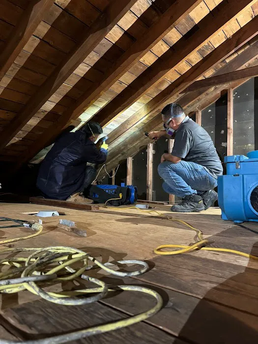 Island Emergency Disaster Restoration inc Picture 2