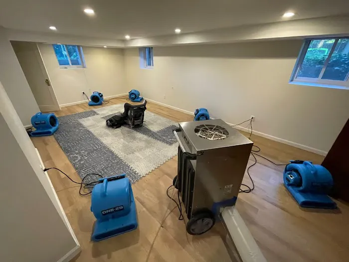 Island Emergency Disaster Restoration inc Picture 3