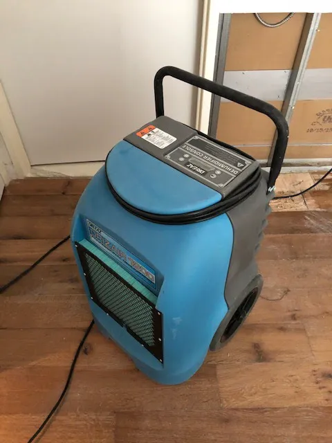 Long Island Mold Specialist Picture 2