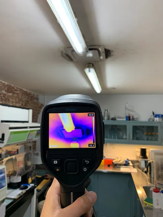 Long Island Mold Specialist Picture 7