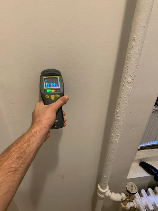 Long Island Mold Specialist Picture 6