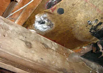 ServiceMaster TRS - New London Picture 7