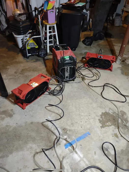 Coastline Restoration Picture 5