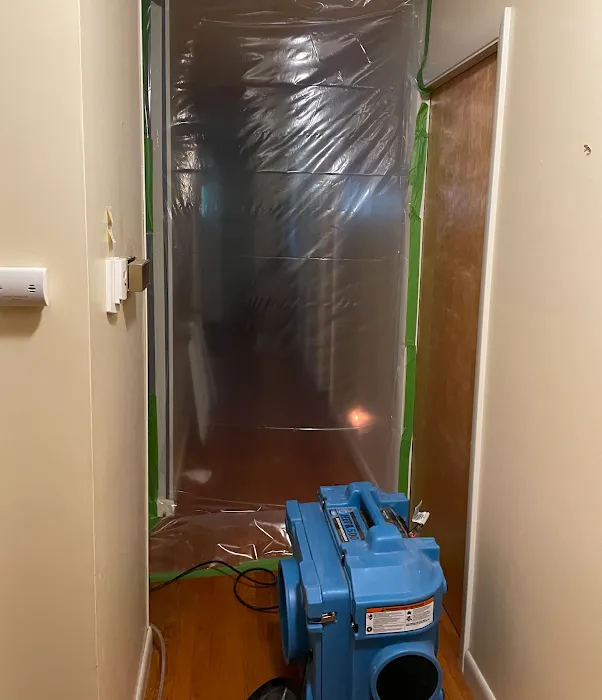 Coastline Restoration Picture 8