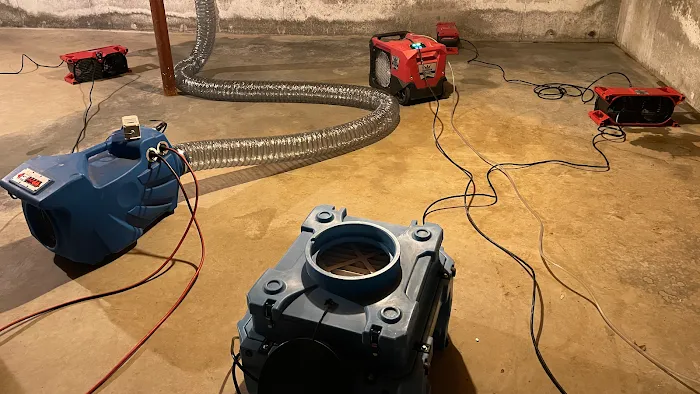 Coastline Restoration Picture 7