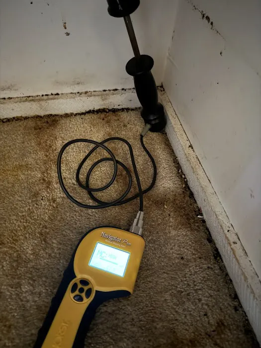 Coastline Restoration Picture 6