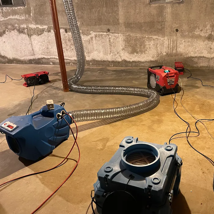 Coastline Restoration Picture 4