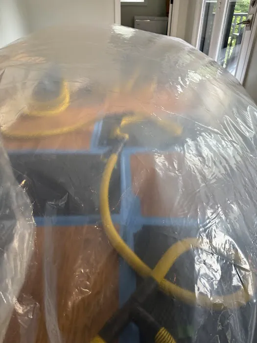 Coastline Restoration Picture 9