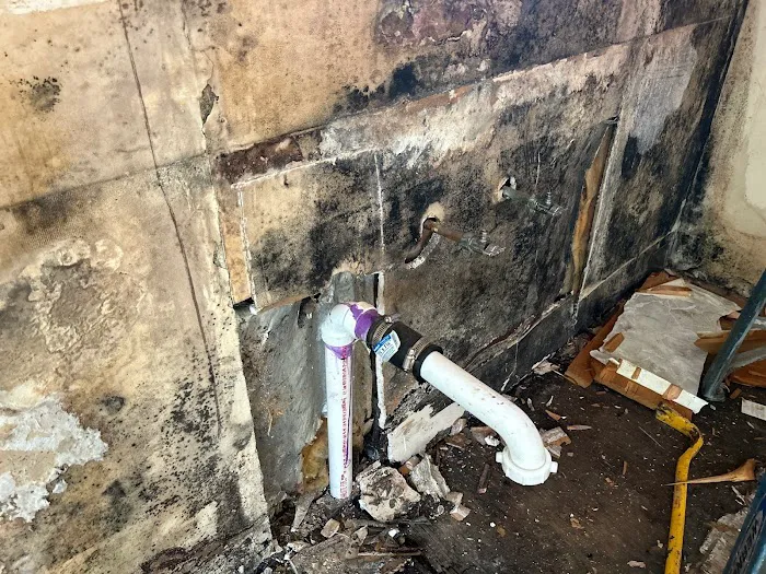 Coastline Restoration Picture 2