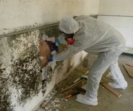 Giordano Restoration