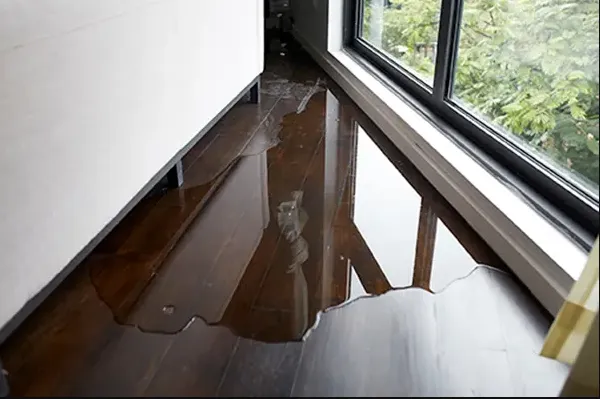 Giordano Restoration Picture 7