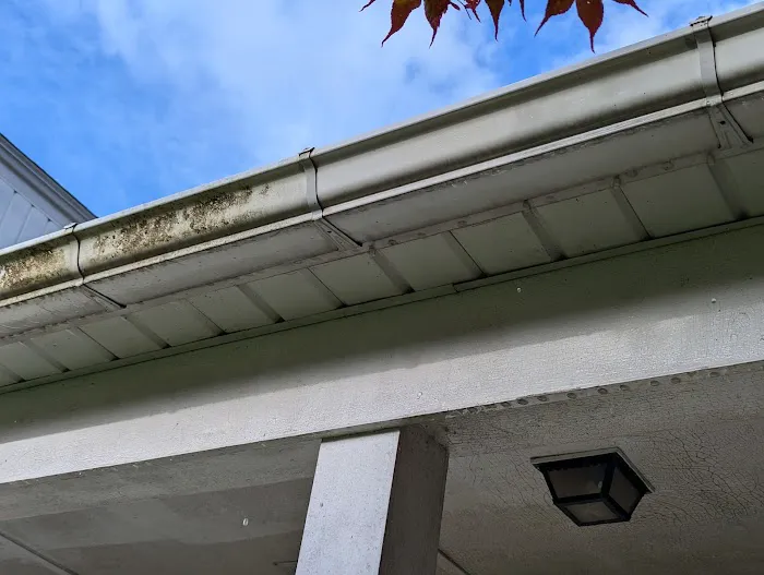 American Healthy Homes Picture 5