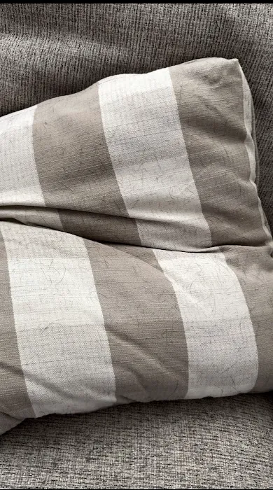 Stanley Steemer Picture 1