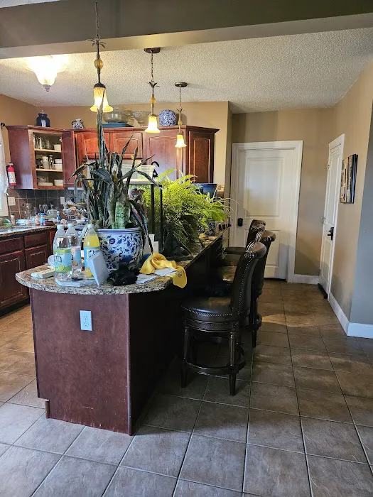 Stanley Steemer Picture 8