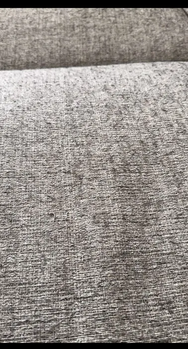 Stanley Steemer Picture 2