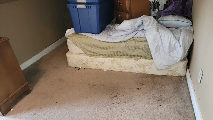 Stanley Steemer Picture 5