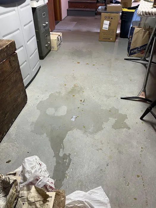 Stanley Steemer Picture 6