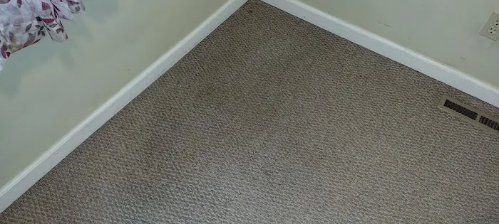 Longo Carpet Cleaning and Restoration Picture 1