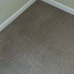 Longo Carpet Cleaning and Restoration