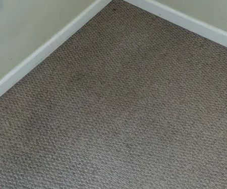 Longo Carpet Cleaning and Restoration