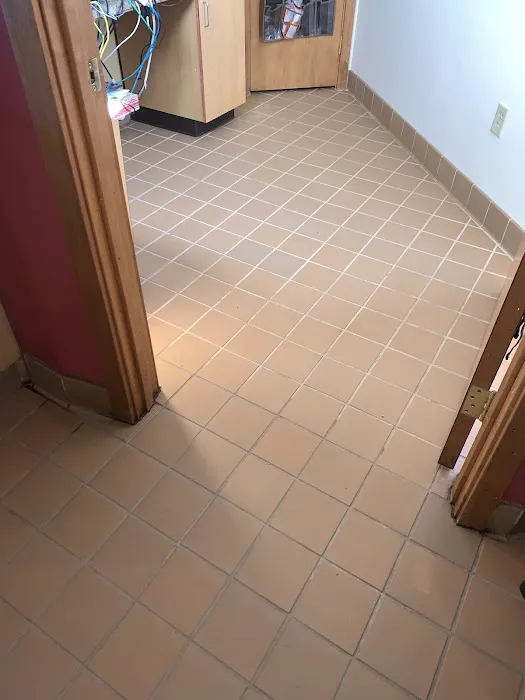 Longo Carpet Cleaning and Restoration Picture 9