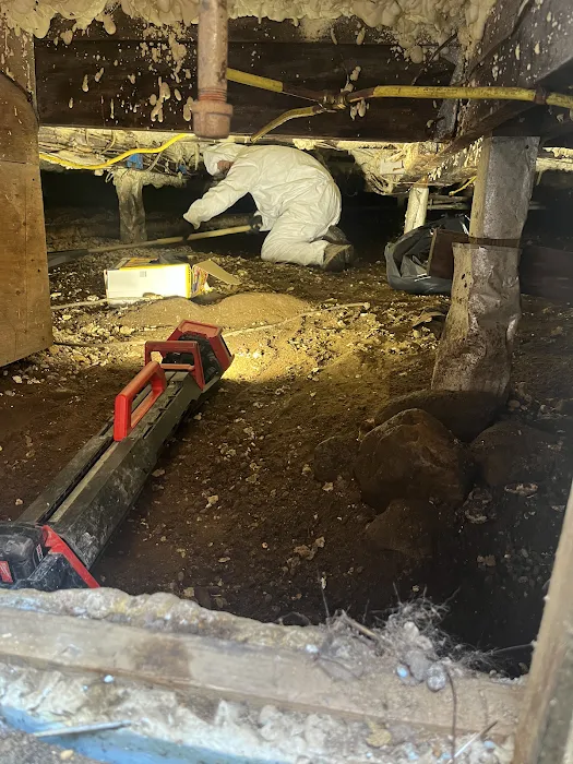 Restoration 1 of Springfield MA Picture 5