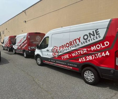 Priority 1 Restoration Services Inc.