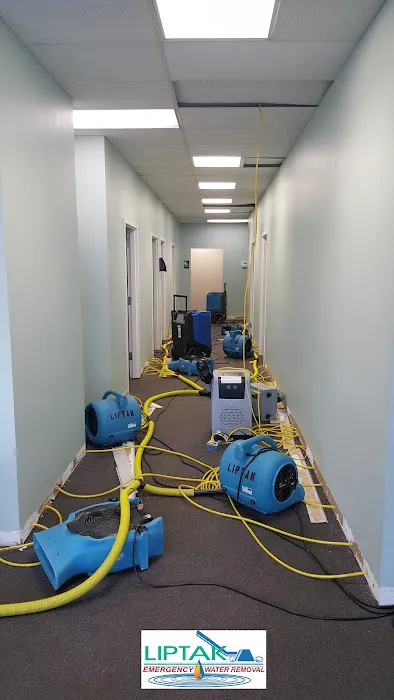 Liptak Restoration Picture 3