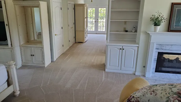 Dr. Spot Carpet Cleaning & Flooring Virginia Beach Picture 10