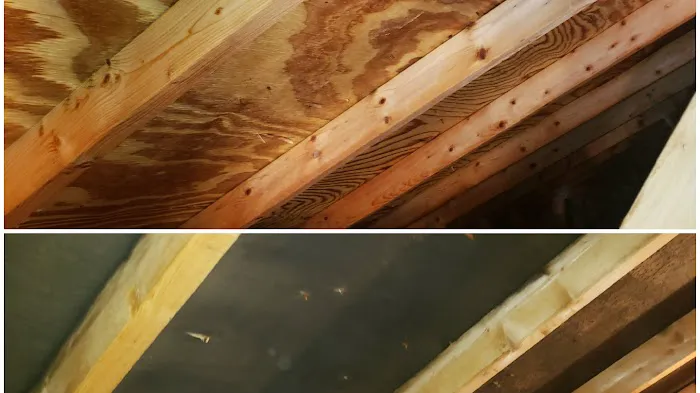 Lighthouse Restoration Picture 2