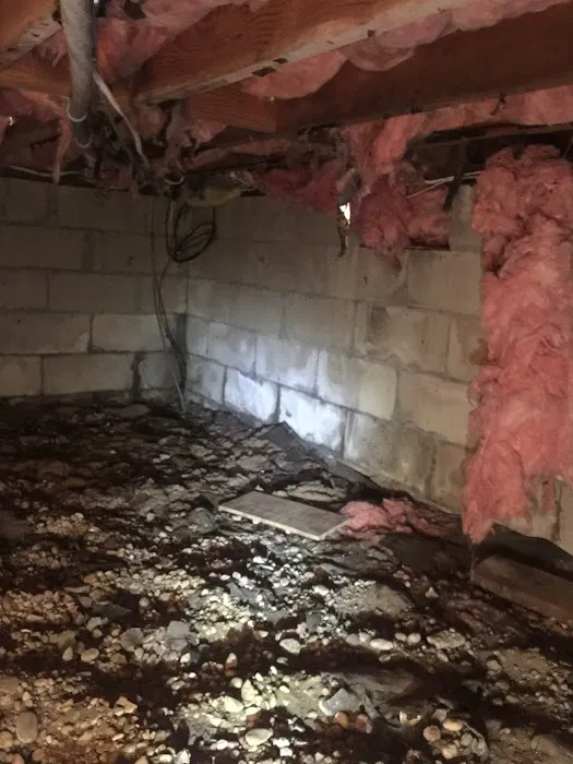 Vulcan Basement Waterproofing Picture 8