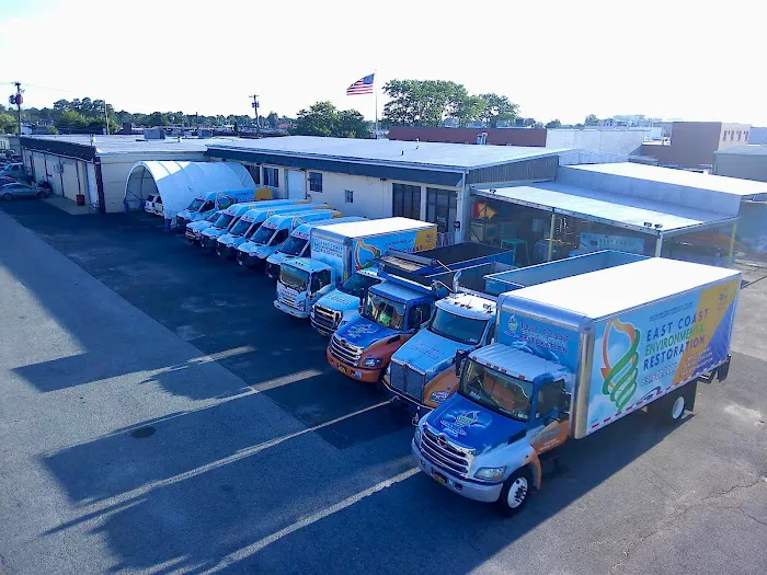 East Coast Environmental Picture 2