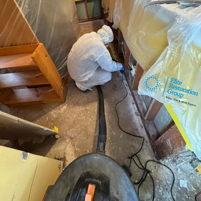 Elite Group Picture 7