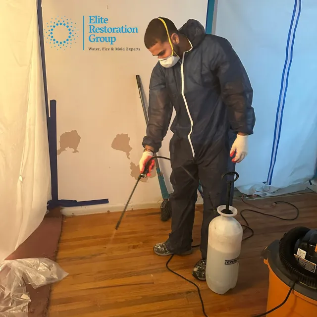 Elite Group Picture 2