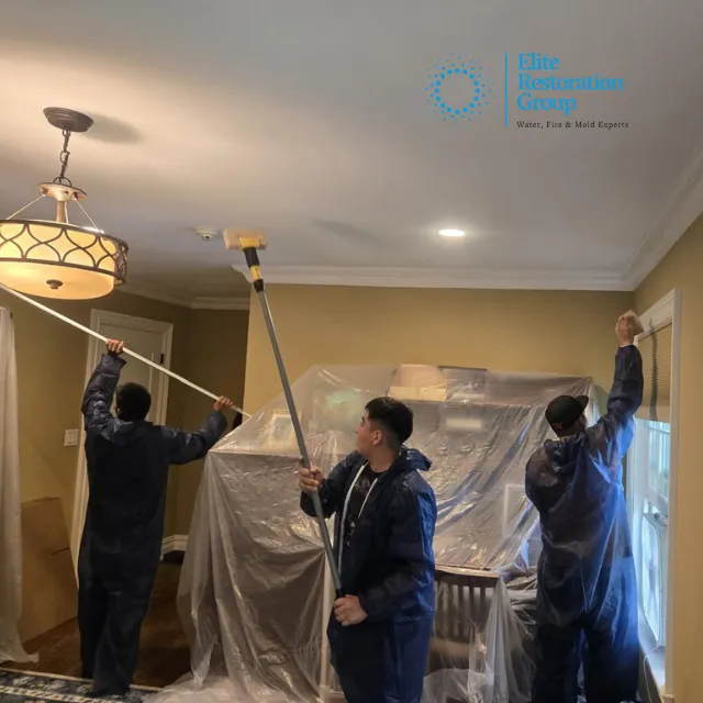 Elite Group Picture 6