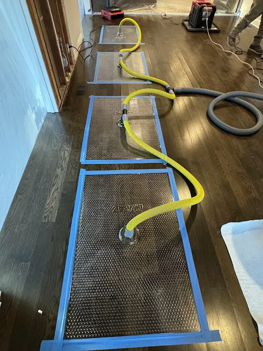 Goodelman Group Picture 10