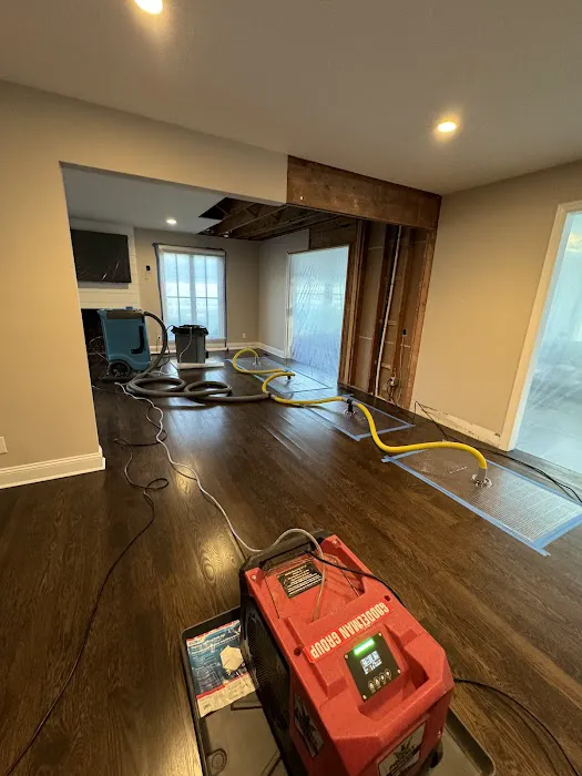 Goodelman Group Picture 4