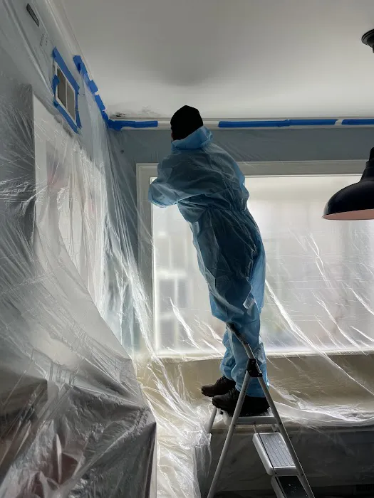 Green Guard Mold Remediation of Commack Picture 9