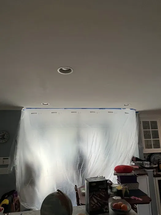 Green Guard Mold Remediation of Commack Picture 2